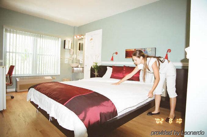 Ponce De Leon Hotel St. Petersburg Oda fotoğraf